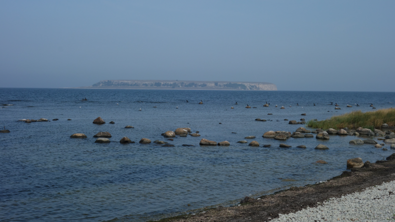 Dagsutflykt S�dra Gotland inkl Lunch