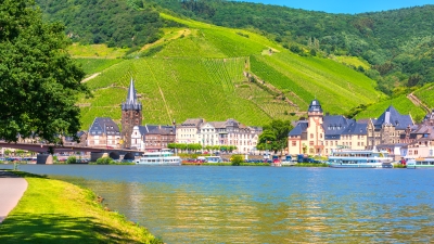 Moseldalen heldagstur